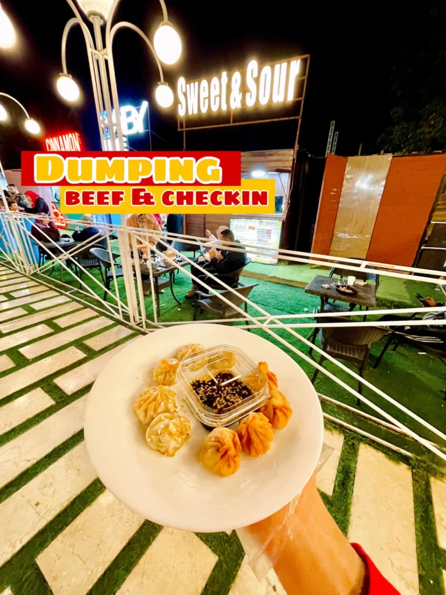 MEDIUM DUMPLING ( BEEF / CHICKEN )