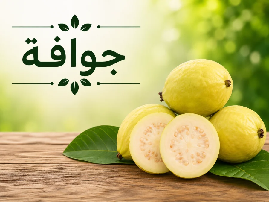 جوافة
