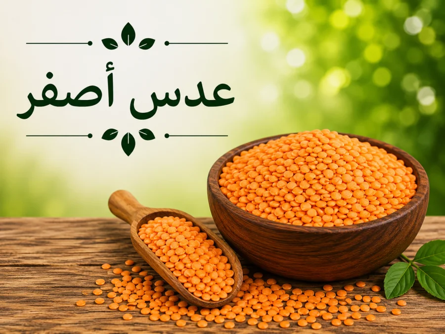 عدس أصفر