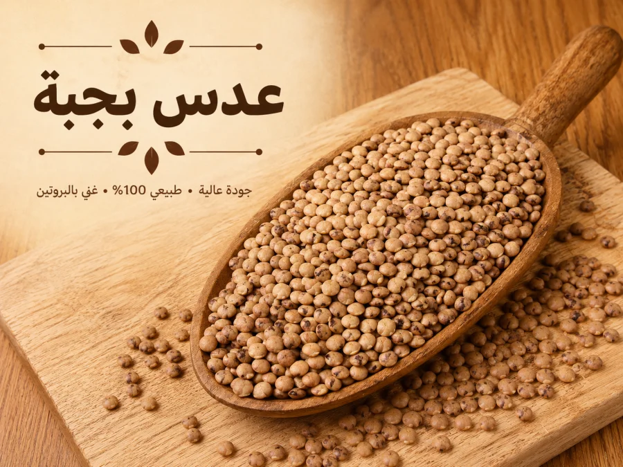عدس بجبة