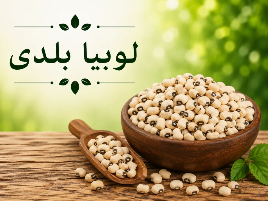 لوبيا بلدي