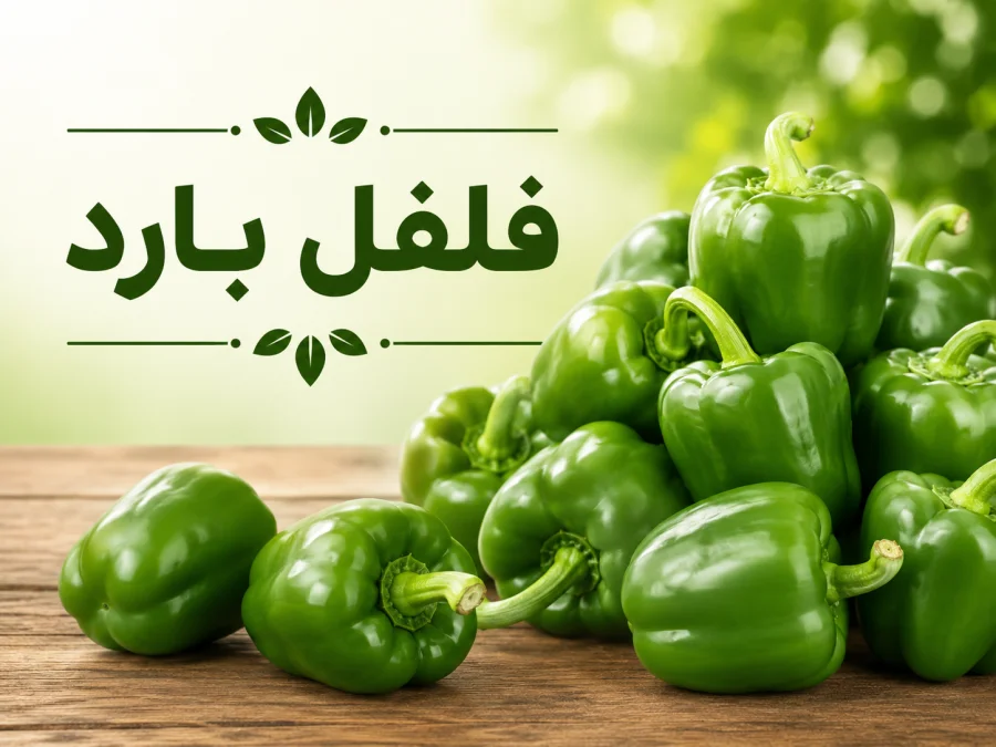 فلفل بارد