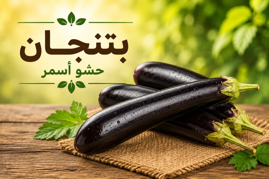 بتنجان حشو أسمر