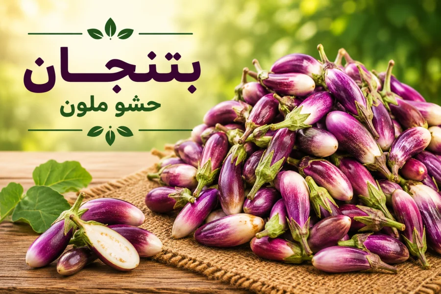 بتنجان حشو ملون