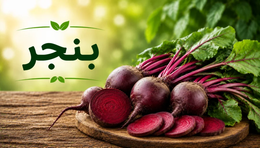 بنجر