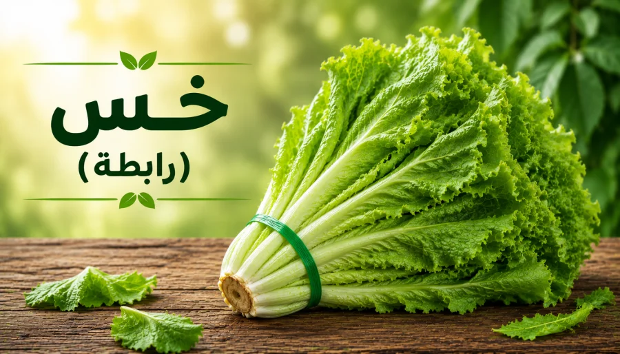 خس (رابطة)