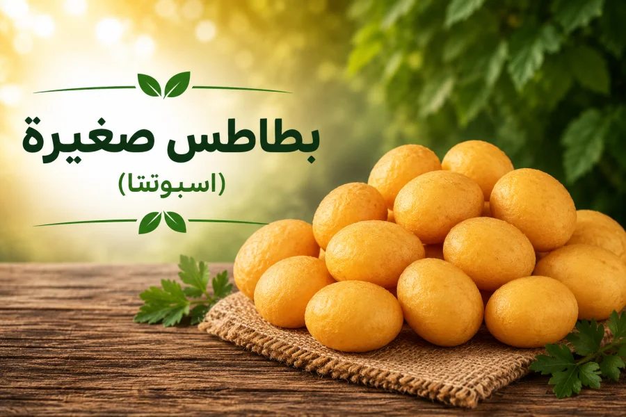 بطاطس صغيرة