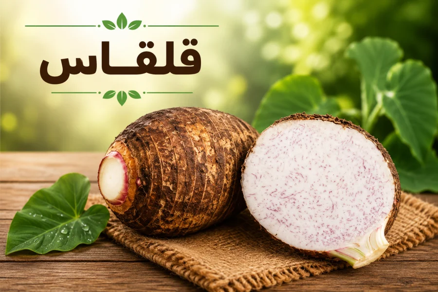 قلقاس