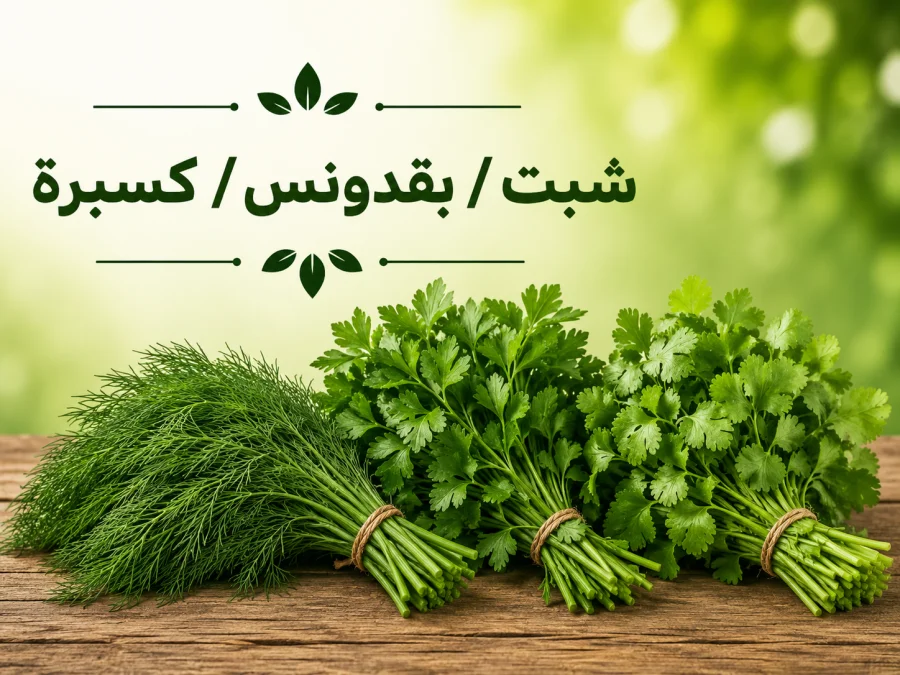 شبت / بقدونس / كسبرة