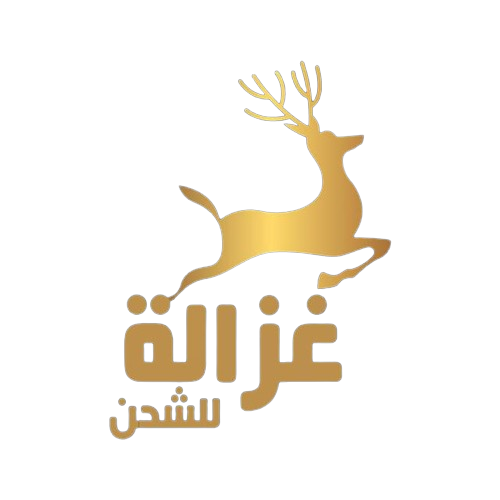 كباب مشوي